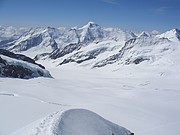Jungfraufirn