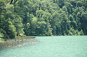 Lago Farias