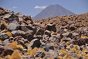 Vulkan östlich des Salar de Atacama