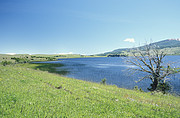 See in der Umgebung von Coihaique