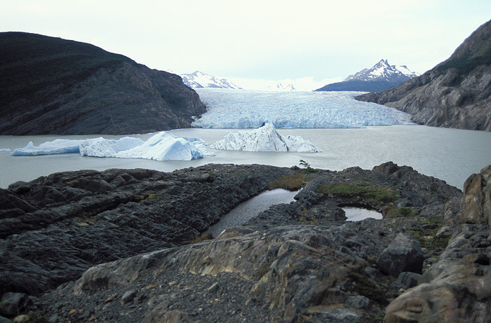Glaciar y Lago Grey