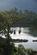 Laguna Guagua Sumaco