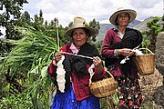 Spinnerinnen in Piscobamba