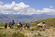 Umzug in Piscobamba