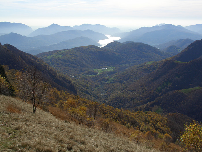 Herbstwald und Lago di Lugano