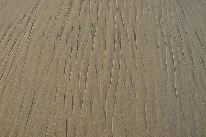 Rippelmarken im Sand