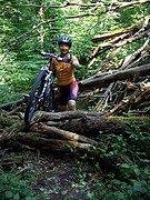 Wald-biken